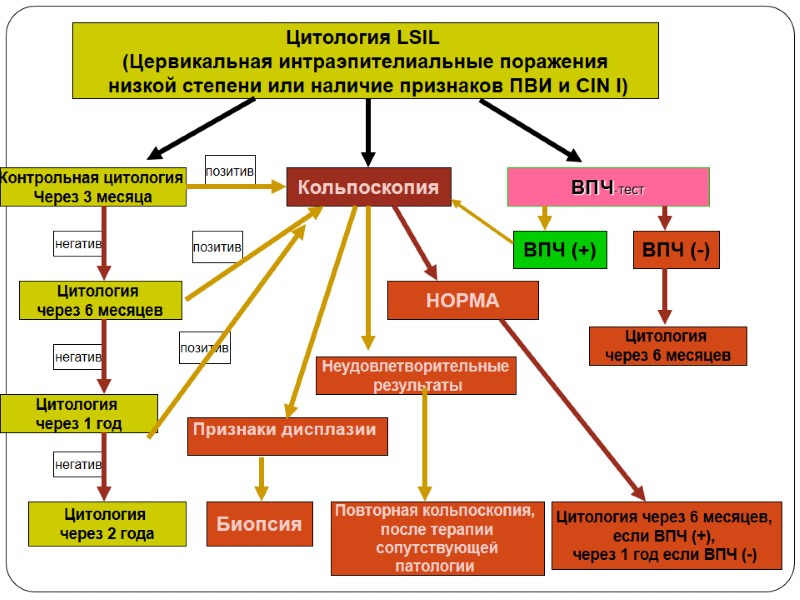 Цитология LSIL  (Цервикальная интраэпителиальные поражения  низкой степени или наличие признаков ПВИ и